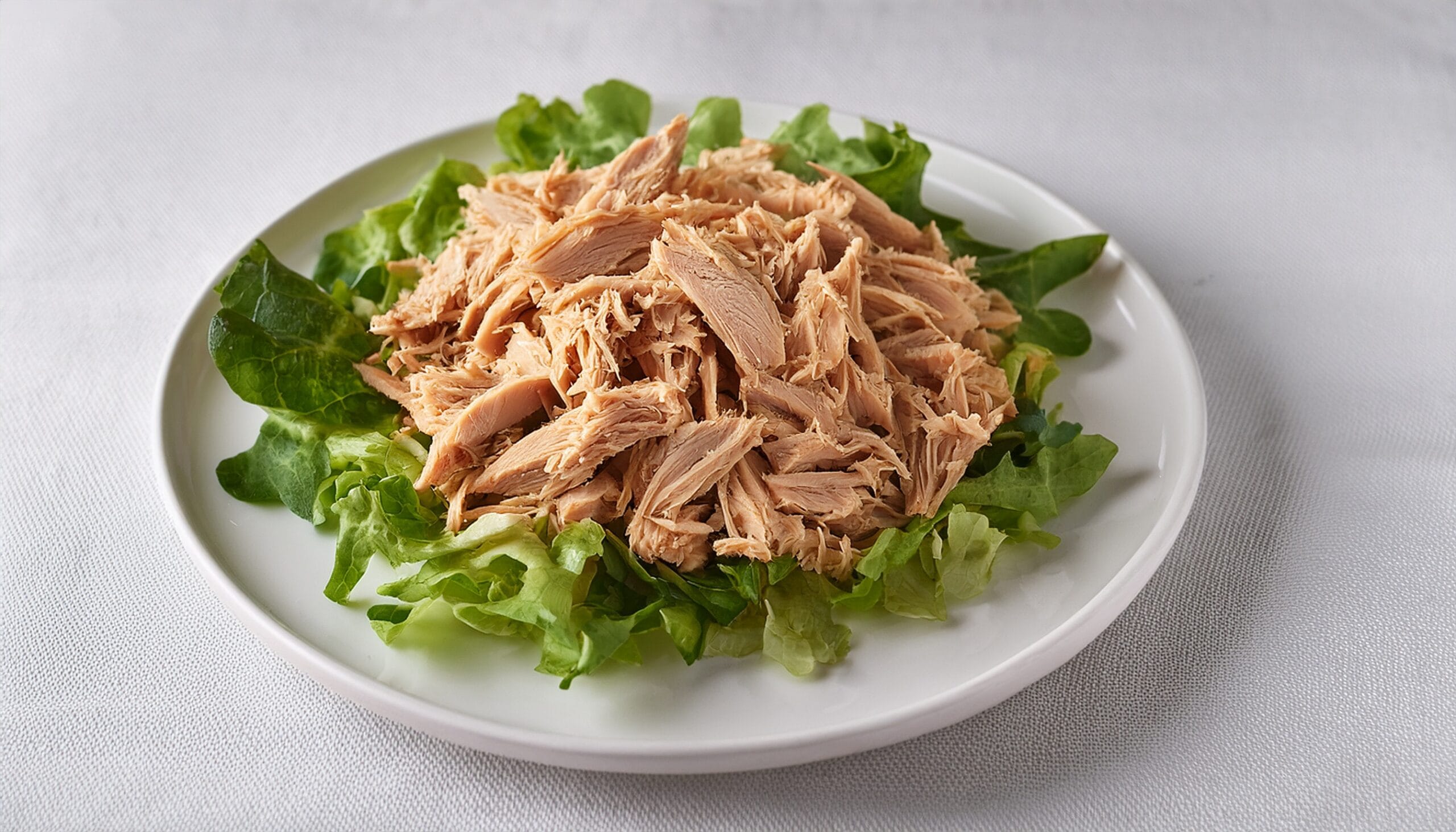 Processing solutions for plant-based products | DANA Technology